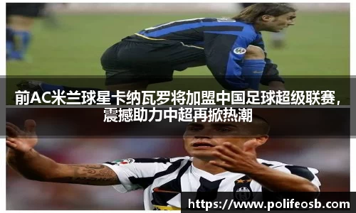 333体育官网