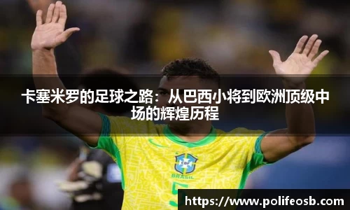 333体育官网