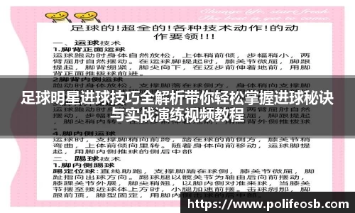 333体育官网