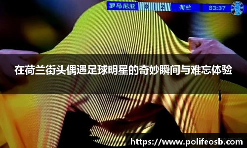 333体育